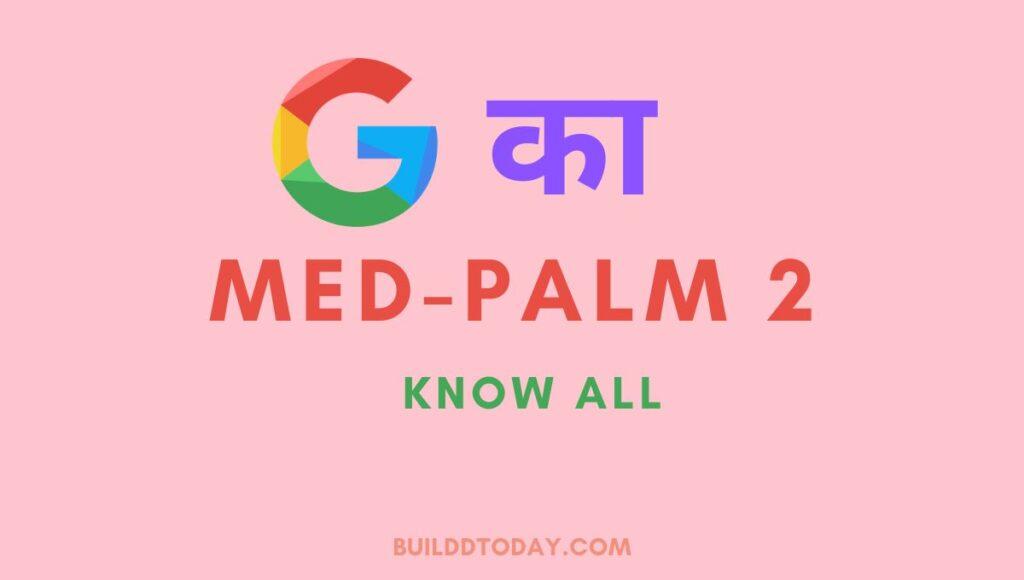 what is Med-palm 2