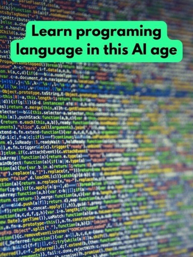 Learn programing language in this AI age